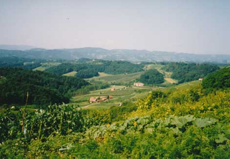 eika image